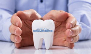 dental insurance