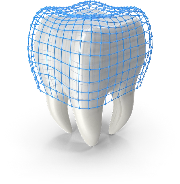 img-Human Tooth with Protection