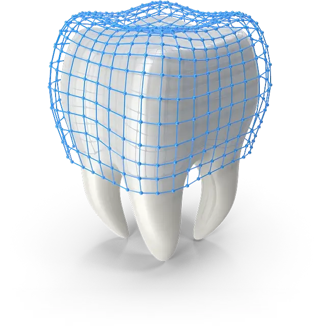img-Human-Tooth-with-Protection-home